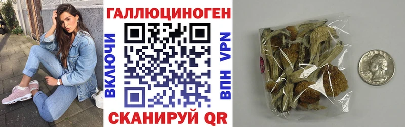Псилоцибиновые грибы GOLDEN TEACHER  закладки  Вихоревка 